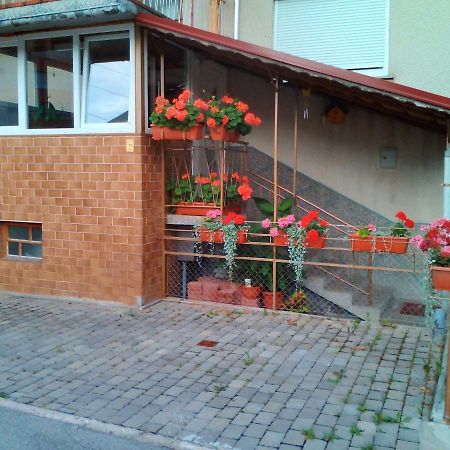 Apartment Janja Vojnik Exteriör bild