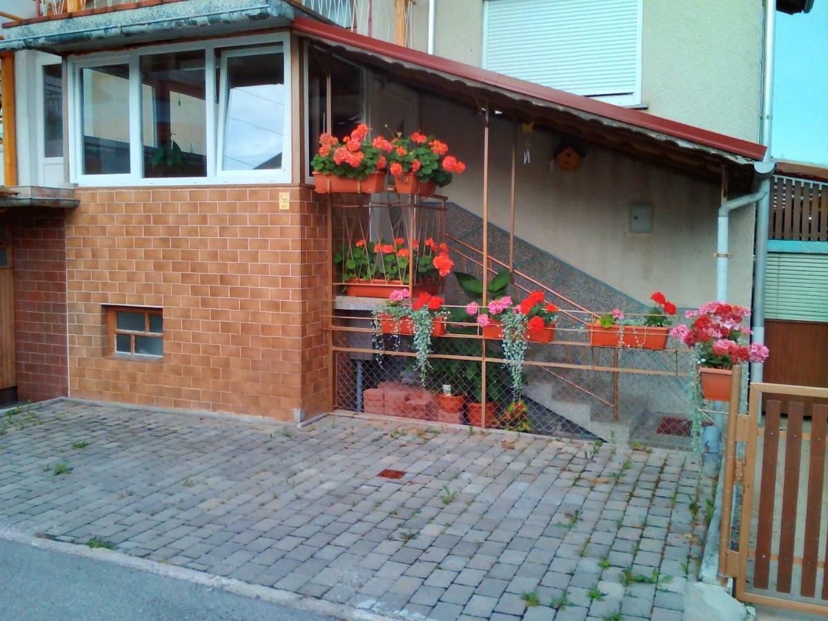 Apartment Janja Vojnik Exteriör bild