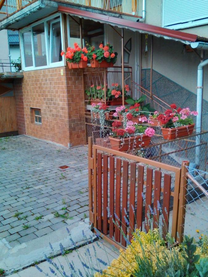 Apartment Janja Vojnik Exteriör bild